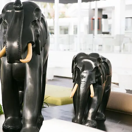 Protur Playa (adults Only) 4*