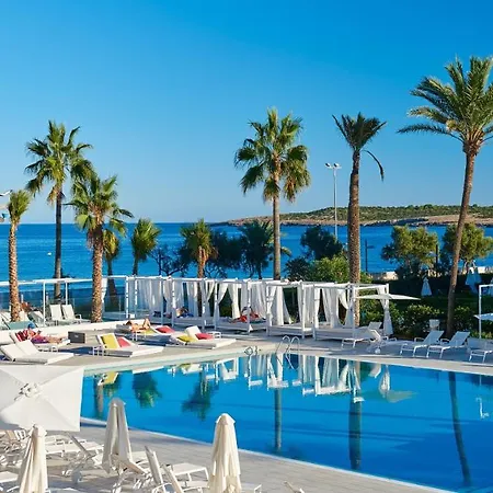 Hotel Protur Playa Cala Millor (adults Only)